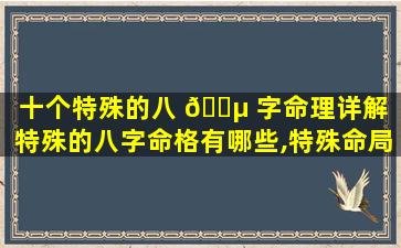 十个特殊的八 🐵 字命理详解「特殊的八字命格有哪些,特殊命局好还是不好」